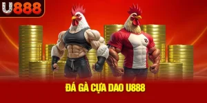da-ga-cua-dao-u888_37_11zon