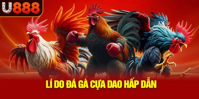 li-do-da-ga-cua-dao-hap-dan_38_11zon
