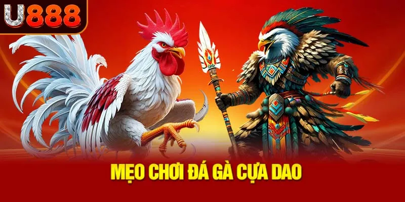 meo-choi-da-ga-cua-dao_39_11zon