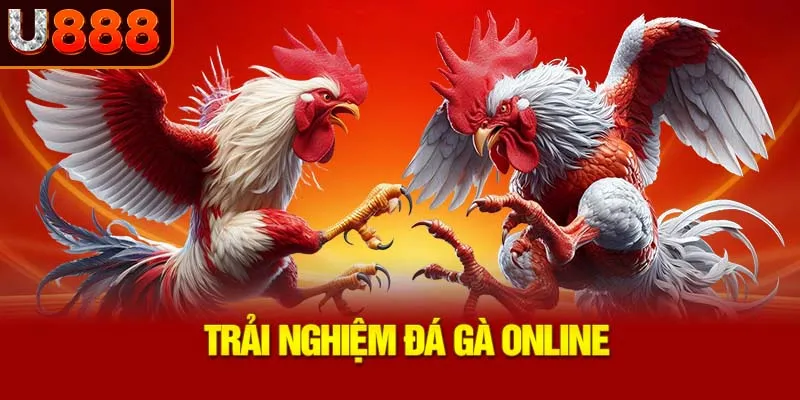 trai-nghiem-da-ga-online_40_11zon